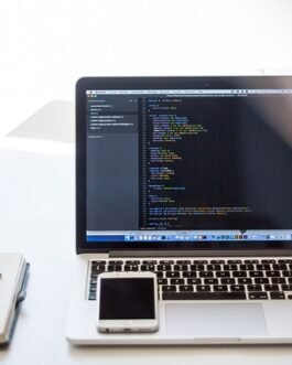 Desarrollador Web y Mobile