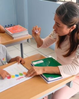 Integradores Escolar